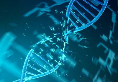 Blue DNA double helix breaking apart.